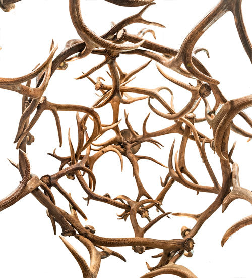 70" Wide Antlers Elk 18 Light Chandelier