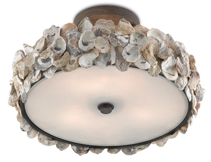 Oyster Semi-Flush