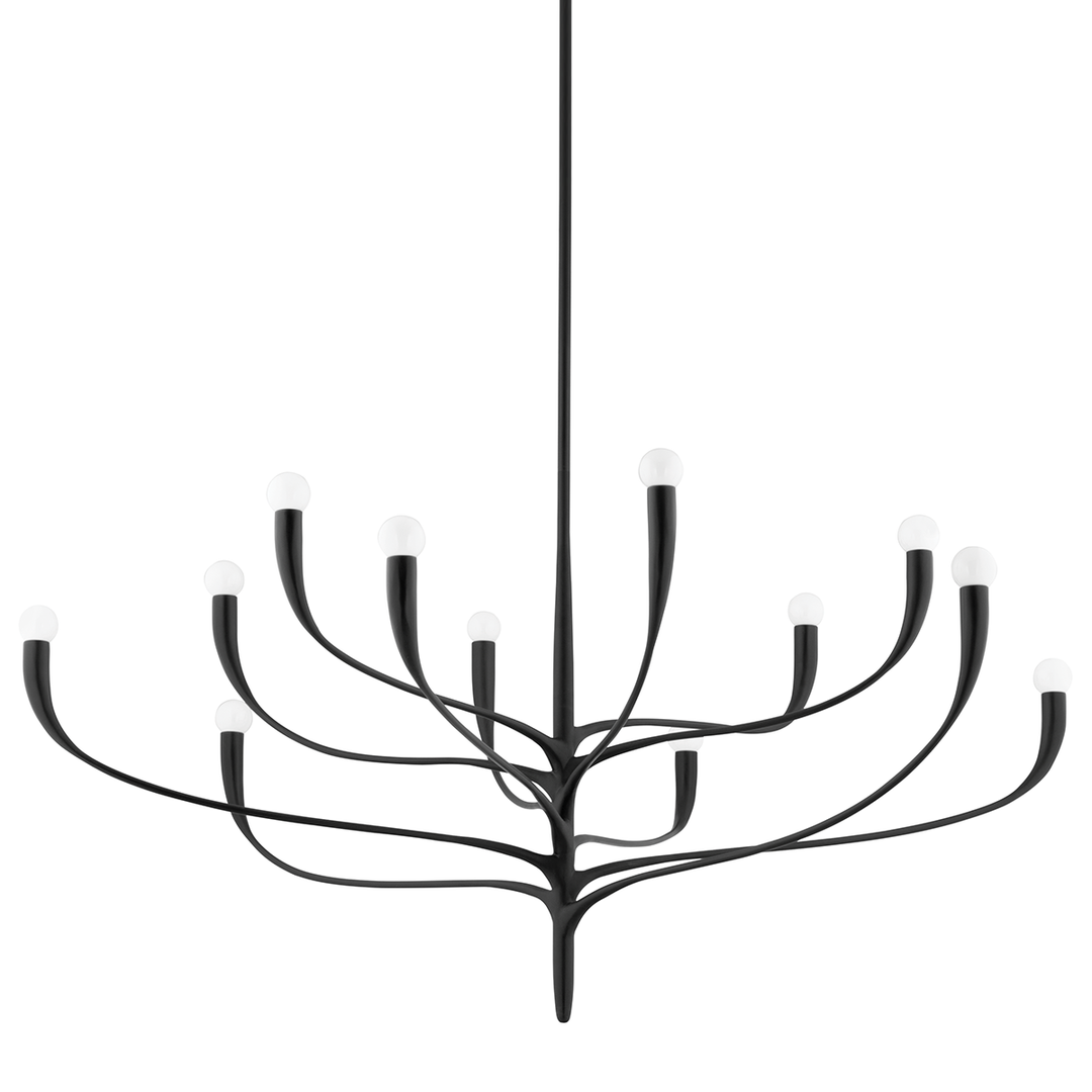 Labra 12 Light Chandelier - Aged Iron