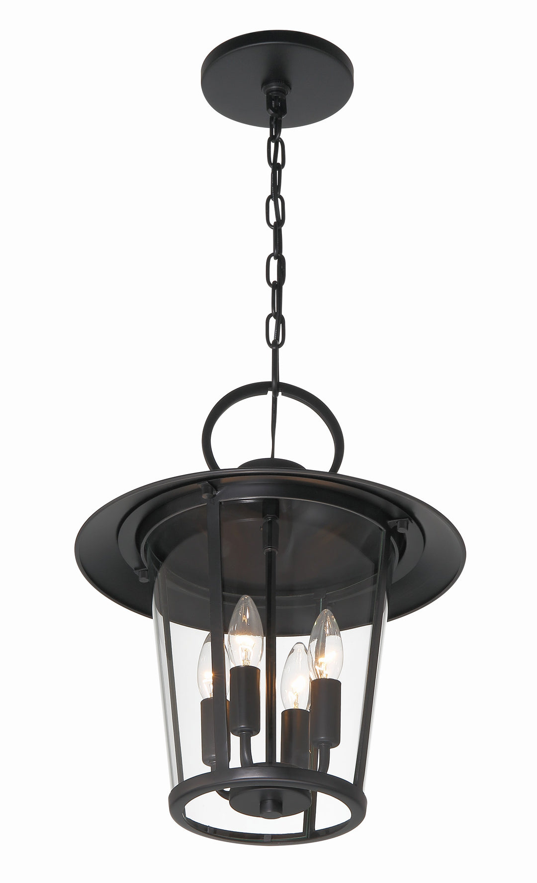 Crystorama Andover 4 Light Matte Black Outdoor Pendant