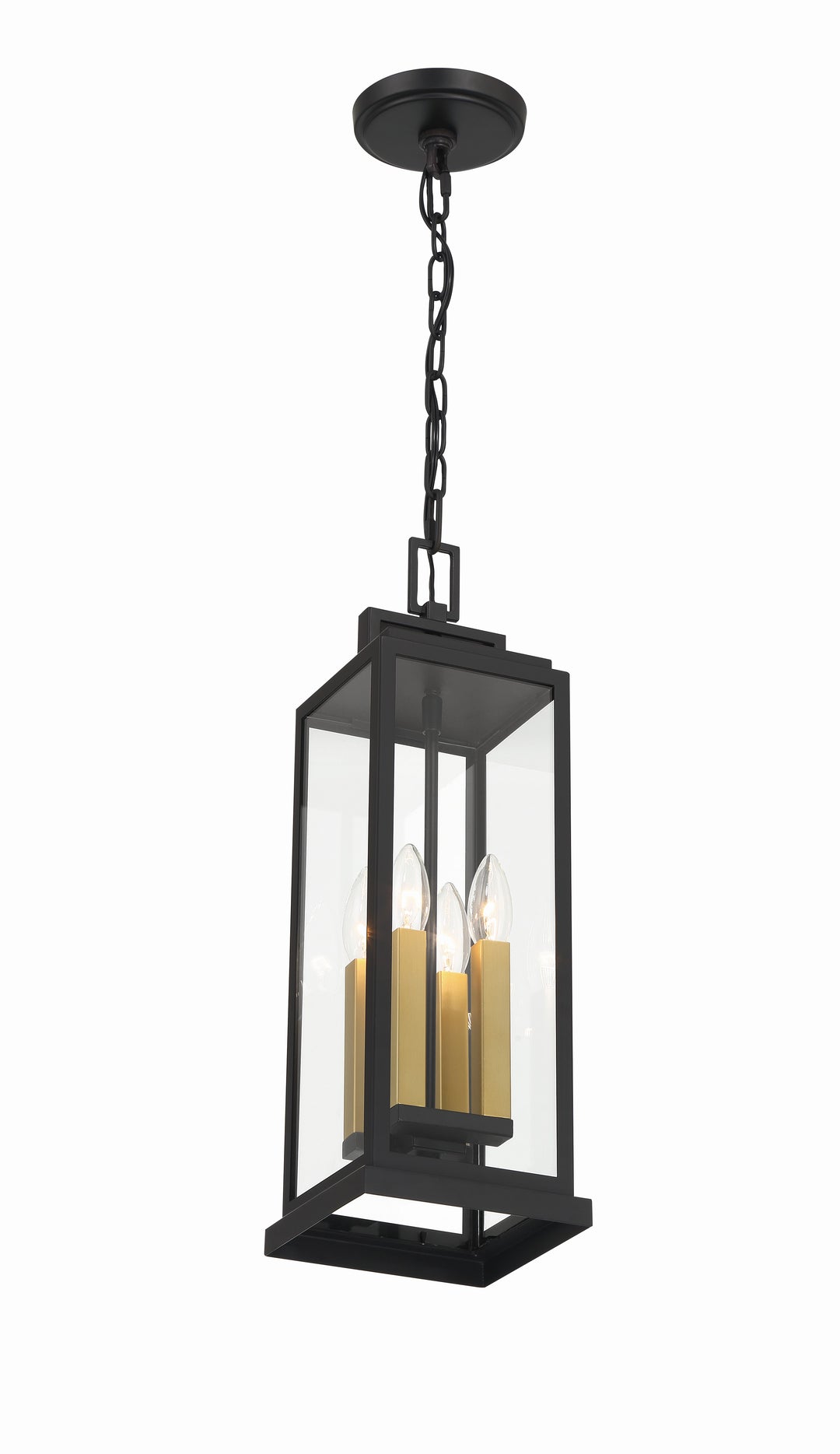 Crystorama Aspen 4 Light Matte Black Outdoor Pendant