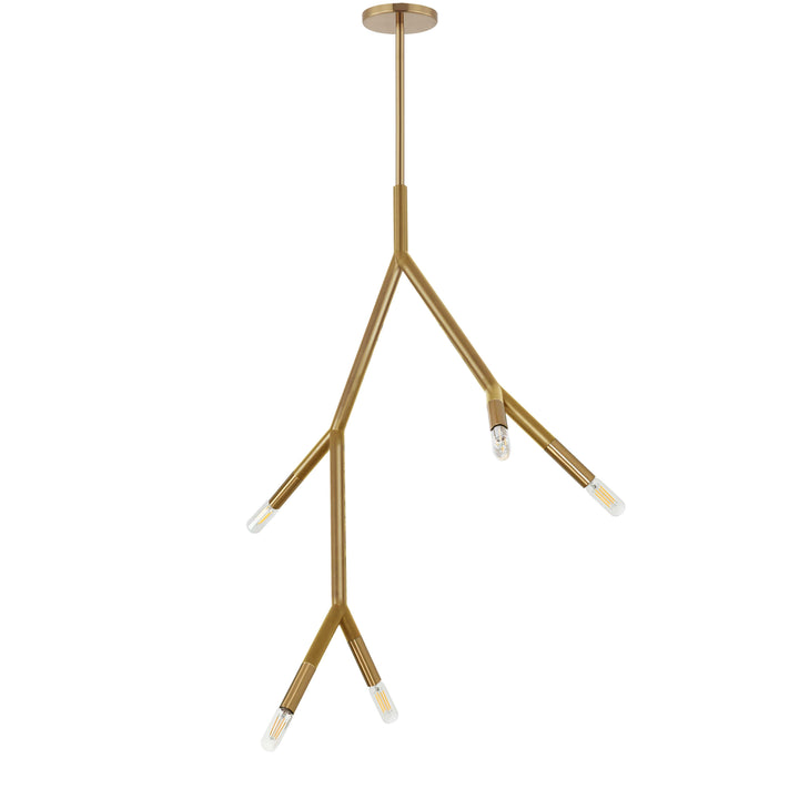 Dainolite 5 Light Incandescent Pendant in Aged Brass