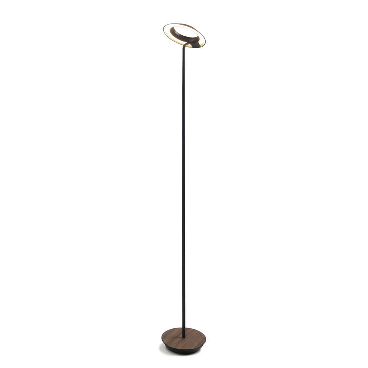 Royyo Floor Lamp