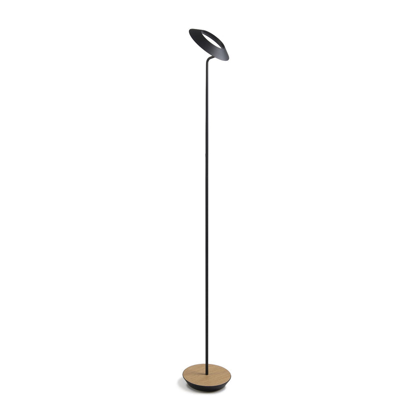 Royyo Floor Lamp