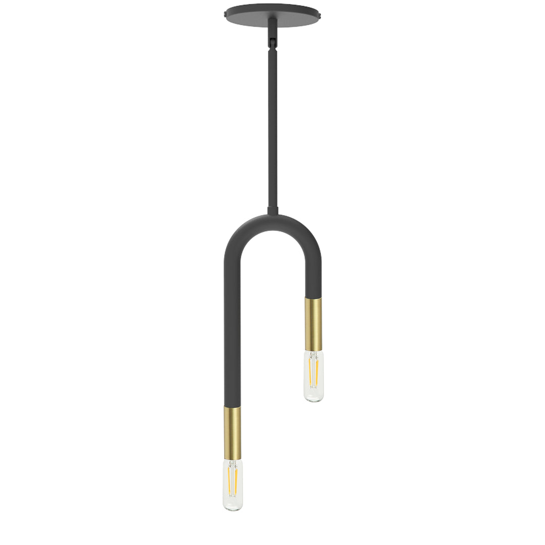 Dainolite 2 Light Incandescent Matte Black Pendant