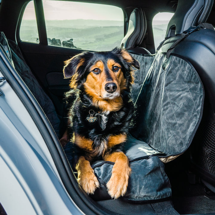 Velvet Car Seat Protectors for Dogs